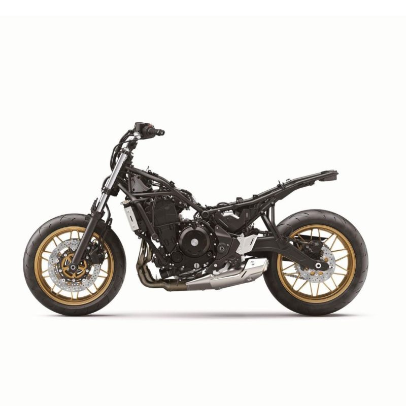 243611681 405657684375160 5027142427531303364 n